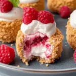 Raspberry No Bake Cheesecake Bites