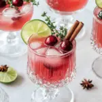 Refreshingly Festive Non-Alcoholic Christmas Punch