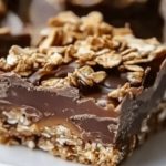 Decadent No Bake Chocolate Oat Bars