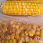 Blanching & Freezing fresh corn on the cob in boiling water for optimal freezing, showcasing easy corn blanching techniques.