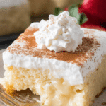 A slice of tres leches cake with whipped cream and cinnamon on a plate.