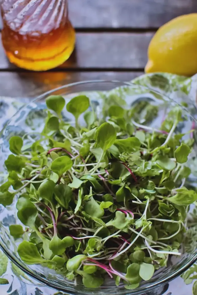 Microgreens topped with lemon honey dressing in a colorful bowl, garnished with lemon slices and honeycomb.